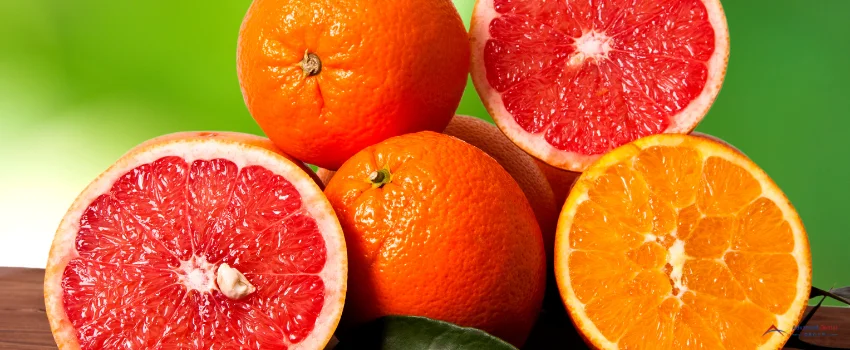 ADG-Oranges and grapefruit